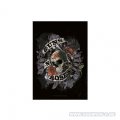 Guns N Roses Post...