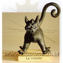 Zwarte Kat Le Chat Domestique Woede Beeld
