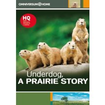 Underdog prairie story DVD