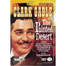 Painted desert DVD