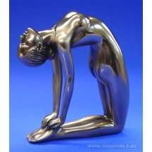 Body Talk Yoga Ushtrasana Kameel Houding  Beeld