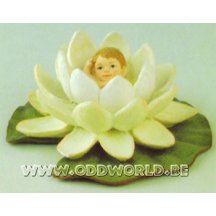 Dew Drop Babies Waterlelie Bloemen Elfje