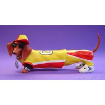 Hot Diggity Long Dawgy Teckel Dog Statue