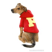 College Dog Hoodie