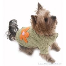 Bloem Hond Pullover