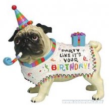 Pug Mopshond Feestje Verjaardag Hond Beeld