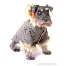 Parka Hond Jas