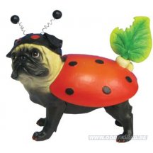 Pugnacious Mopshond Lady Pug Lieveheersbeestje Hond Beeld