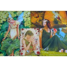 Elfje Kaart Set Van 7 Grote En 2 Gewone Elfen (kerst) Kaarten