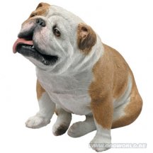 Engelse Bulldog hond groot beeld