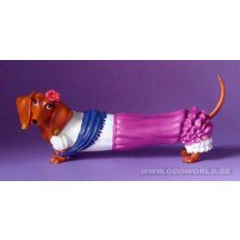 Hot Diggity Seniorita Tekkel Hond Beeld