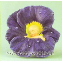 Dew Drop Babies Viooltje Bloemen Elfje