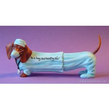 Hot Diggity Dogs Dokter Dashond Teckel Hond Beeld